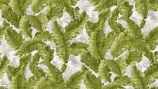 Обои Alessandro Allori Breeze RDT2201-7