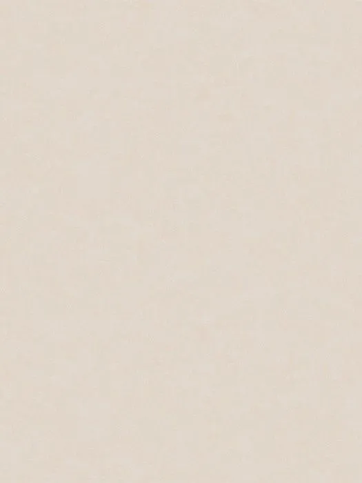 NP11 008