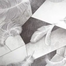 PP71818-14