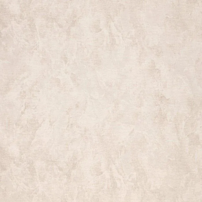 R11173