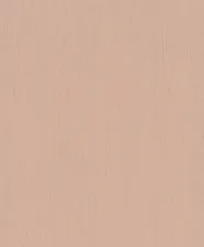Обои Rasch Indian Style 746075