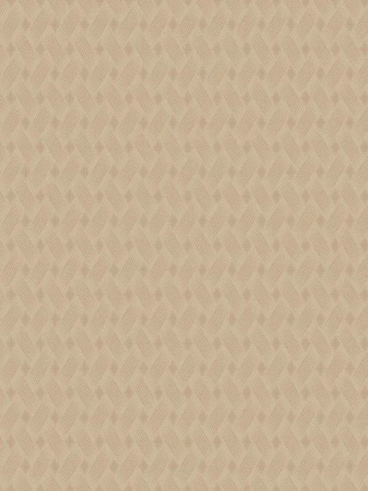 JOLI8 012