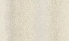 A55208