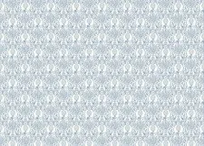 Обои Grandeco Jack 'n Rose 2024 JS 3304