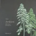 Обои Эмбиплейн 4 (Ambiplain 4) | Дом Декора