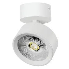 Светильник накладной LED 30W с накладной чашей Alta Pro Lightstar A5636SO