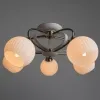 Потолочная люстра Arte Lamp ELLISSE A6342PL-5WG | Дом Декора