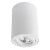 Точечный накладной светильник Arte Lamp SENTRY A1560PL-1WH | Дом Декора