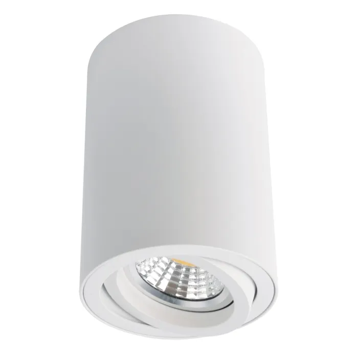 Точечный накладной светильник Arte Lamp SENTRY A1560PL-1WH | Дом Декора