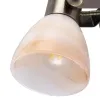 Спот Arte Lamp TULIP A9581AP-1AB | Дом Декора