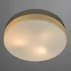Потолочный светильник Arte Lamp AQUA A3211PL-3WH | Дом Декора