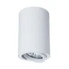 Точечный накладной светильник Arte Lamp SENTRY A1560PL-1WH | Дом Декора