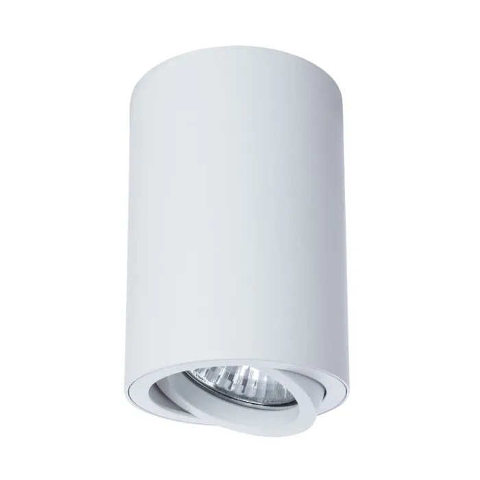Точечный накладной светильник Arte Lamp SENTRY A1560PL-1WH | Дом Декора