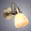 Спот Arte Lamp TULIP A9581AP-1AB | Дом Декора