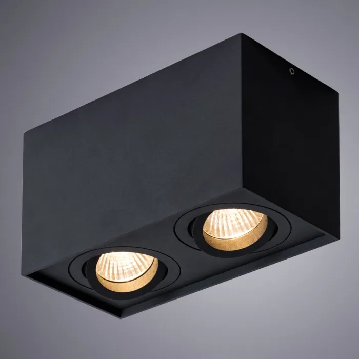 Точечный накладной светильник Arte Lamp FACTOR A5544PL-2BK | Дом Декора