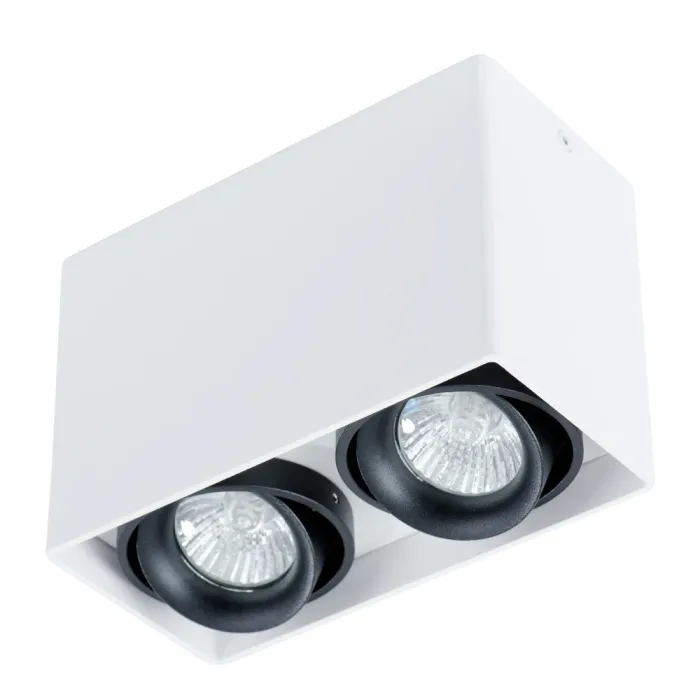 Точечный накладной светильник Arte Lamp PICTOR A5655PL-2WH | Дом Декора