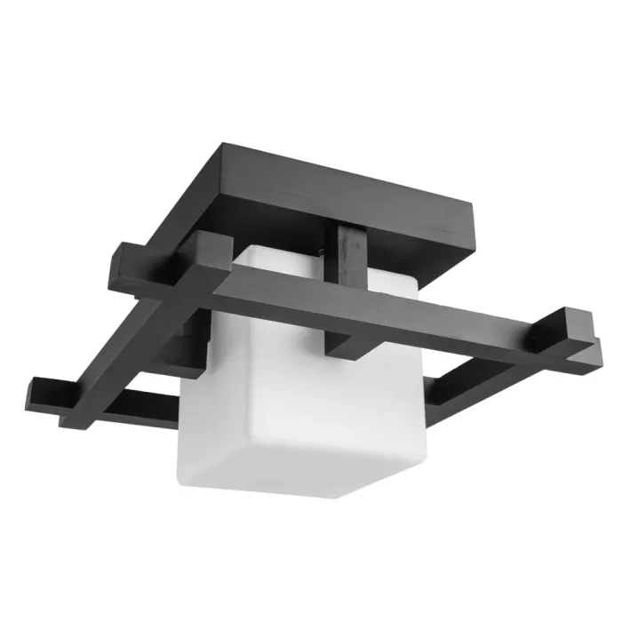 Потолочный светильник Arte Lamp WOODS A8252PL-1CK | Дом Декора