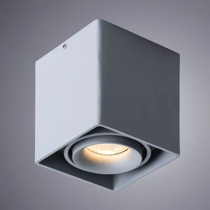 Точечный накладной светильник Arte Lamp PICTOR A5654PL-1GY | Дом Декора
