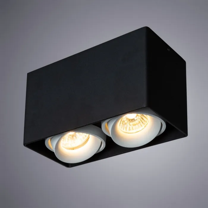 Точечный накладной светильник Arte Lamp PICTOR A5654PL-2BK | Дом Декора