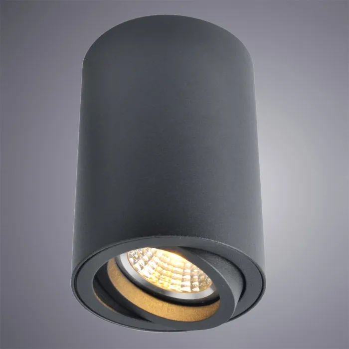 Точечный накладной светильник Arte Lamp SENTRY A1560PL-1BK | Дом Декора