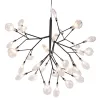 Светильник подвесной Crystal Lux EVITA SP36 BLACK/TRANSPARENT | Дом Декора