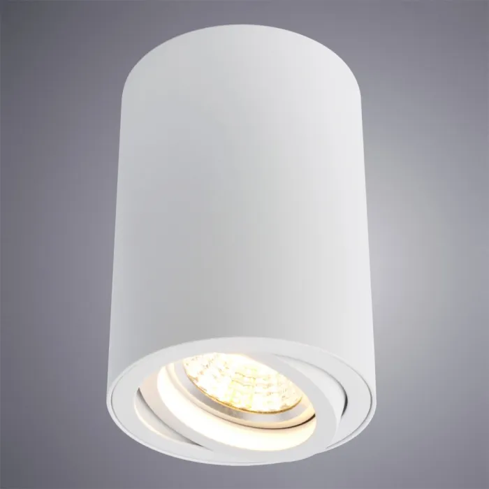 Точечный накладной светильник Arte Lamp SENTRY A1560PL-1WH | Дом Декора