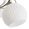 Потолочная люстра Arte Lamp ELLISSE A6342PL-5WG | Дом Декора