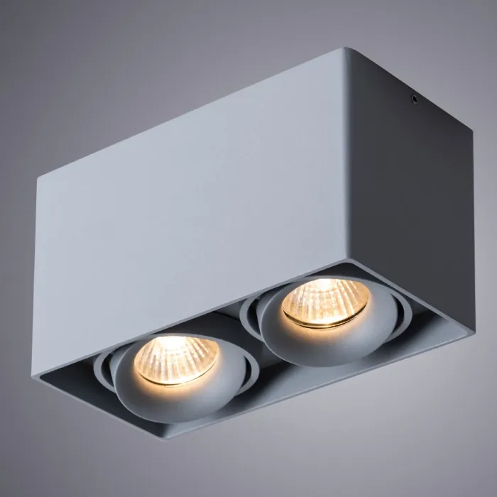 Точечный накладной светильник Arte Lamp PICTOR A5654PL-2GY | Дом Декора