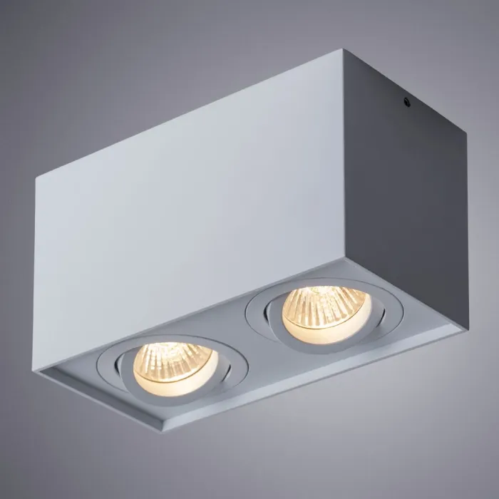 Точечный накладной светильник Arte Lamp FACTOR A5544PL-2WH | Дом Декора