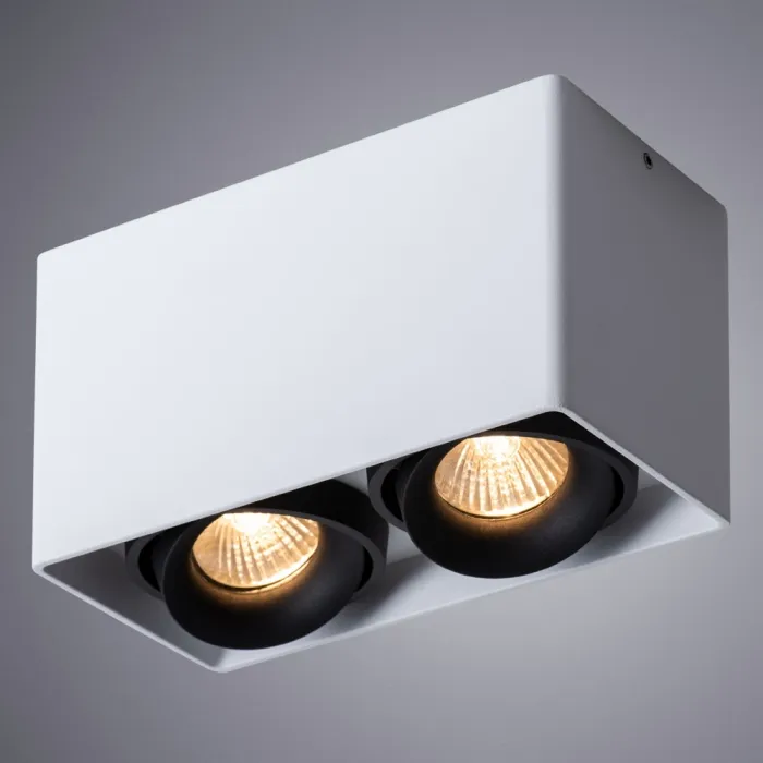 Точечный накладной светильник Arte Lamp PICTOR A5654PL-2WH | Дом Декора