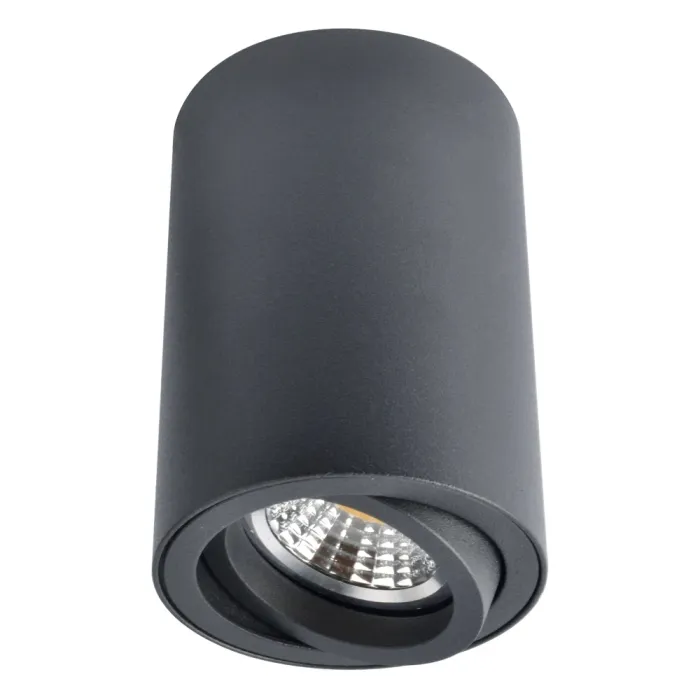 Точечный накладной светильник Arte Lamp SENTRY A1560PL-1BK | Дом Декора