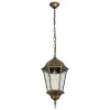Уличный подвесной светильник Arte Lamp GENOVA A1204SO-1BN | Дом Декора