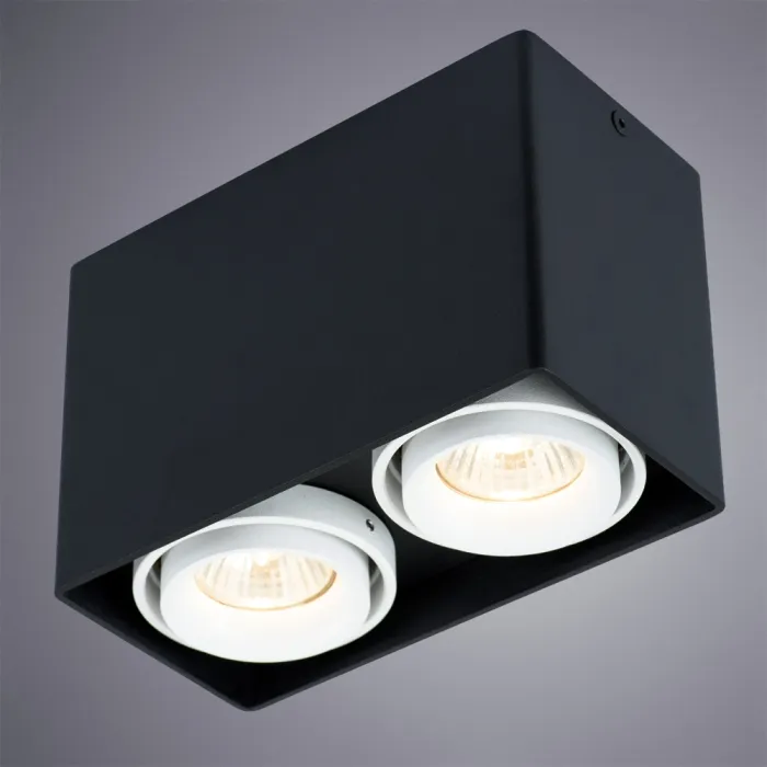 Точечный накладной светильник Arte Lamp PICTOR A5655PL-2BK | Дом Декора