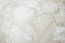 VS285912