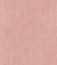 Обои Rasch Rock´n Rolle 540857