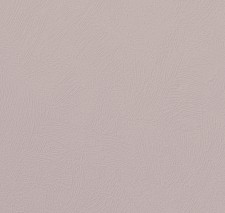 WB STR27 001