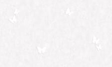 Обои Bernardo Bartalucci Bigi 5065-3