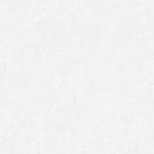 9565