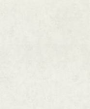 Обои Rasch Rock´n Rolle 540451