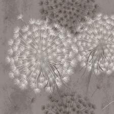 Обои Fox Соната 116613