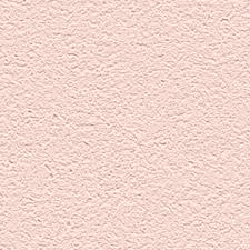 Обои Alessandro Allori Barbara 65438-10 R