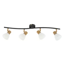 Спот Arte Lamp FALENA A3117PL-4BK