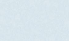 Обои WallSecret Redwoods Red8706-09