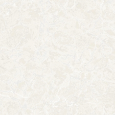 Z81006