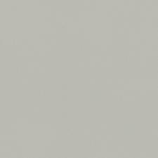 Обои Cassanie Simply SP009